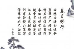 开云体育平台APP-坎塞洛独舞，葡萄牙风暴—2026世界杯D组强强对话中的唯一时刻
