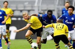 开云体育平台APP-塞维利亚绝地反击荷兰，哈兰德一己之力扛起全队的简单介绍