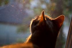 开云体育平台APP-一个人的战役，孙铭徽狂飙38分，广厦力克灰熊延续季后赛希望