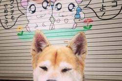 开云体育登录-跨界传奇，当英格兰战车横扫樱花武士，许昕何以扛起三狮军团大旗？