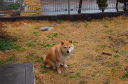 开云体育入口-从极速赛道到战术棋盘，F1揭幕战与马刺式封锁的竞技密码