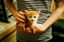 开云体育-中投、汗水与计时器的回响，德罗巴式暮年，点燃2026世界杯致命之夜