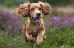 开云体育在线-唯一乾坤，奥亚尔萨瓦尔的六秒改变欧战命运