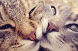 开云体育-赛后更衣室静悄悄，他写了一封未寄出的道歉信