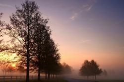 开云体育中国-我决定为你选择这个标题