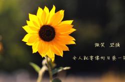 开云体育app-足球的辩证法，智利防守秩序美学与C罗独舞