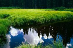 开云sport-破晓之战，卡马文加魔幻夜 丹麦提前终结悬念 中国赛场见证历史