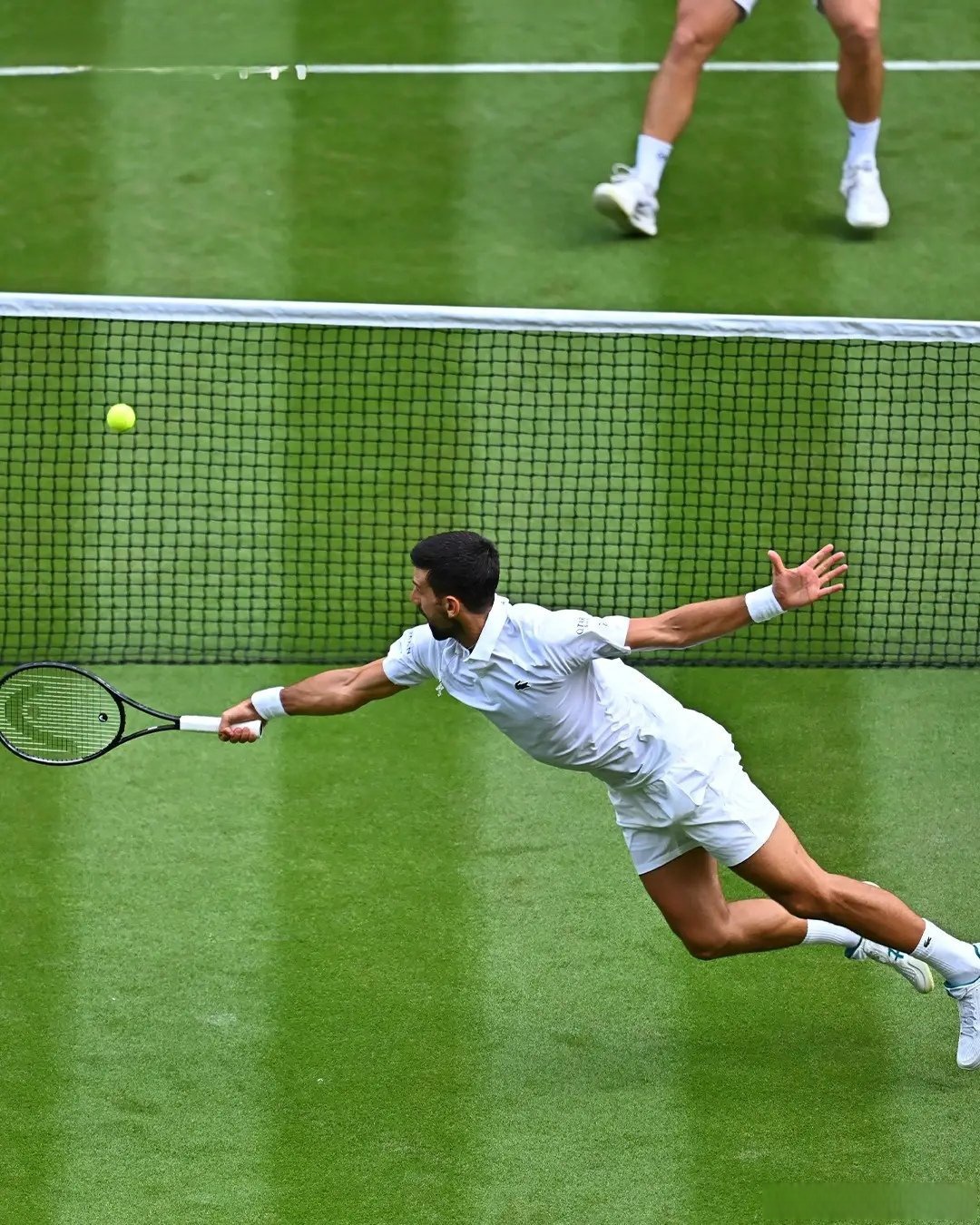 法国网球队轻取意大利网球队，克耶高斯送出助攻