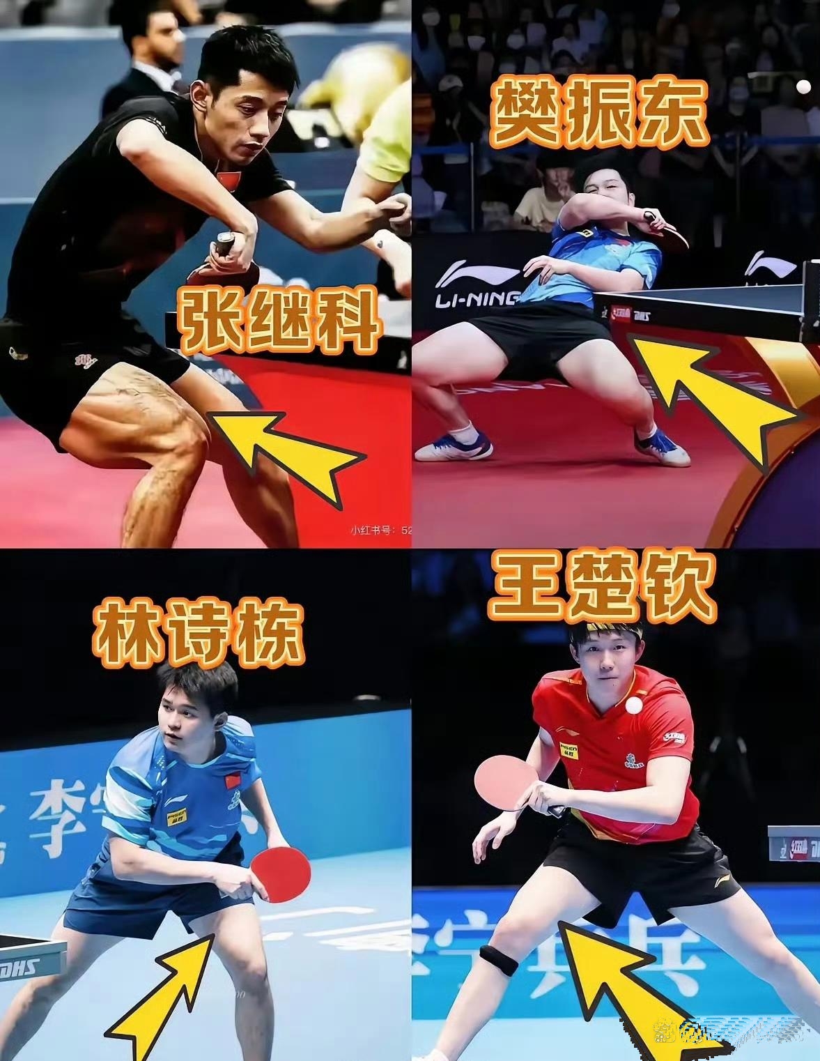 韩国乒乓球队鏖战波兰乒乓球队,张继科统治全场 韩国乒乓球队鏖战波兰乒乓球队,张继科统治全场