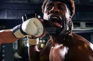 拳击赔率刷新纪录，竞猜热度飙升
