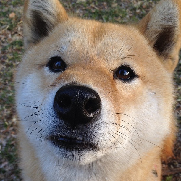 1.34秒与36次，西西帕斯用数学思维改写网球历史