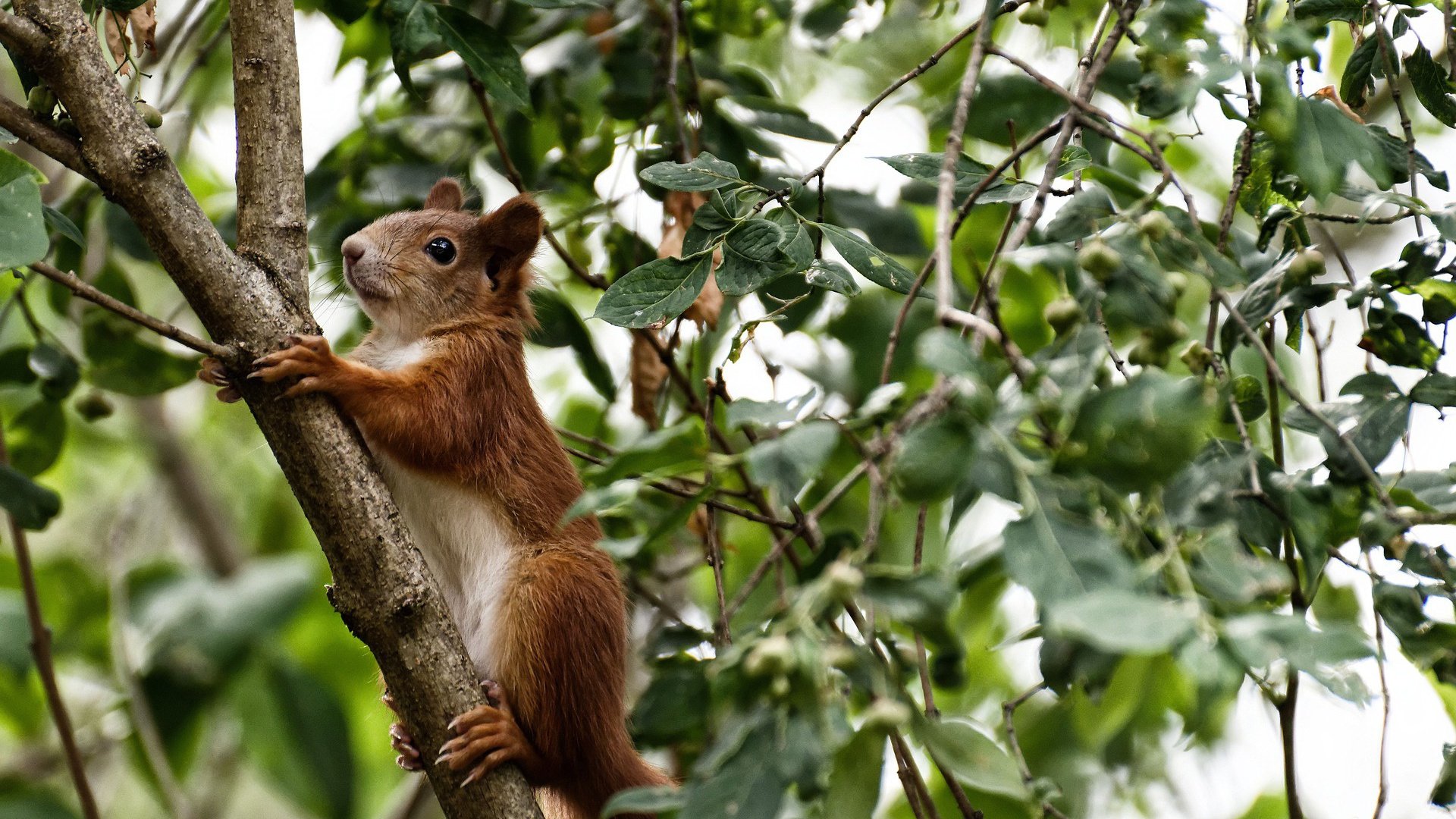 最后一秒的反转，易建联的绝杀回应了绝杀