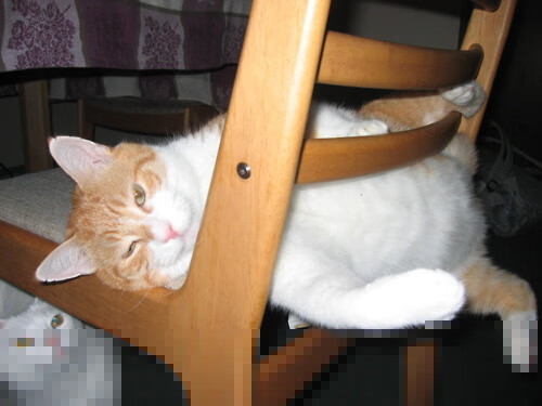 冰与火之歌，阿尔卡拉斯以逆转烈焰，重燃ATP总决赛的永恒战场