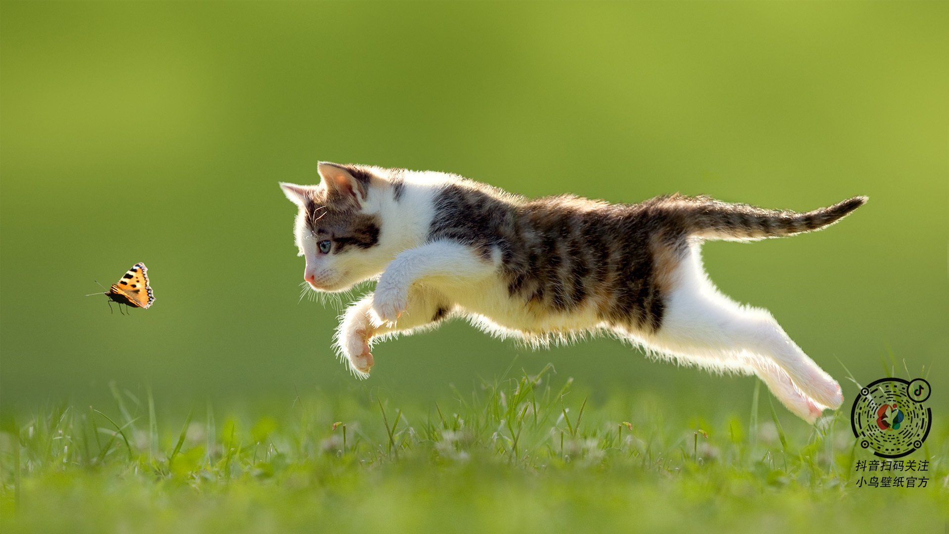 跨越太平洋的险胜，当尼克斯遇见福建，杜兰特38分写下传奇