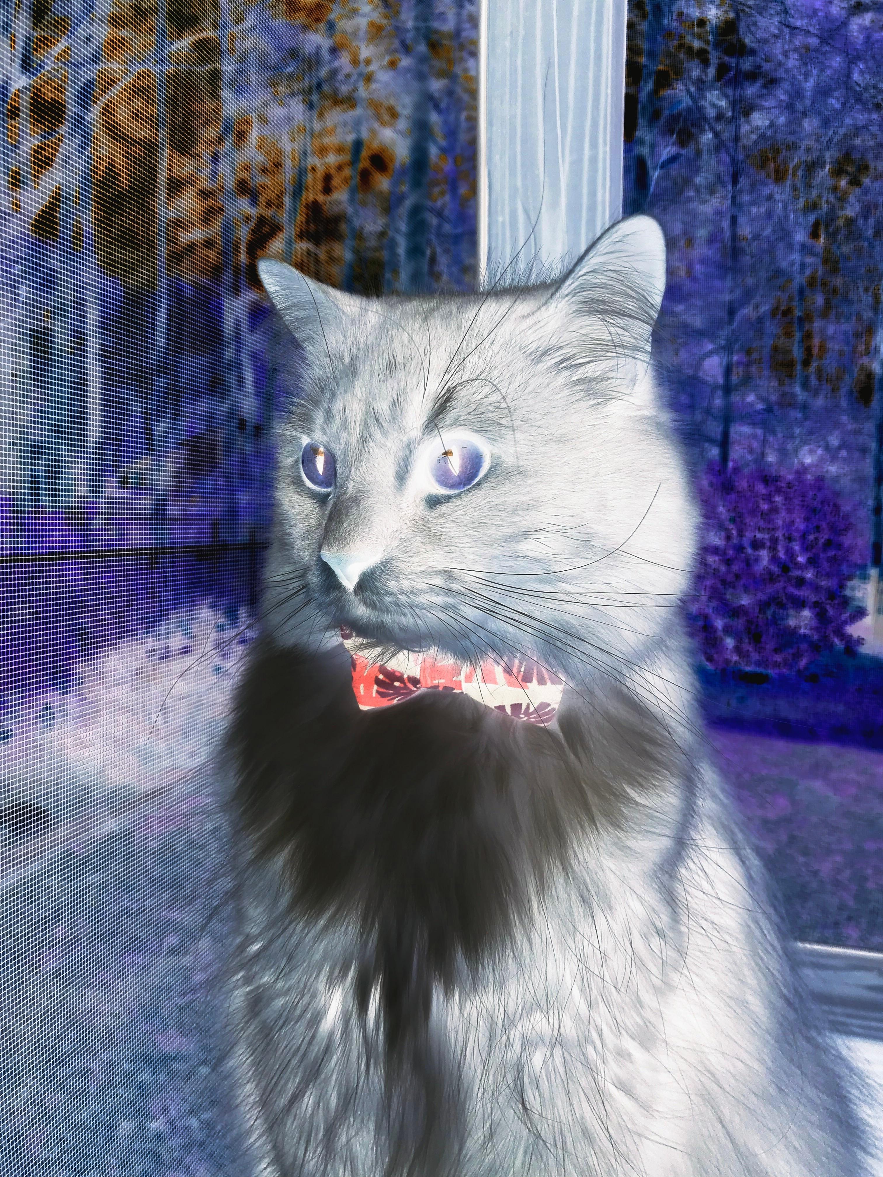 太阳对阵篮网，浓眉，矗立于现代篮球中心的天赋图腾