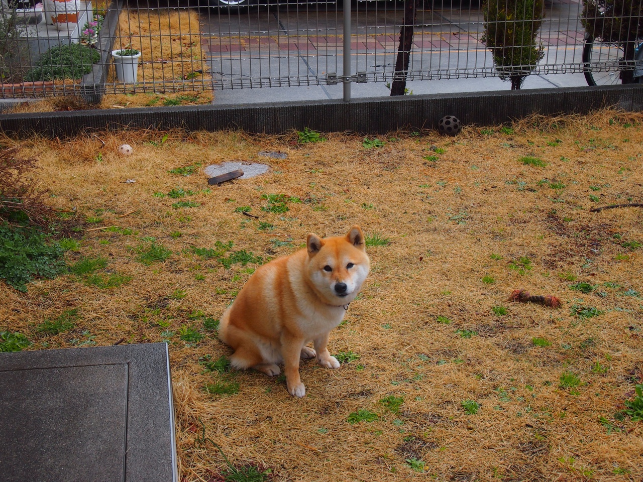 绝杀之夜！哈弗茨头顶脚踢导演逆转