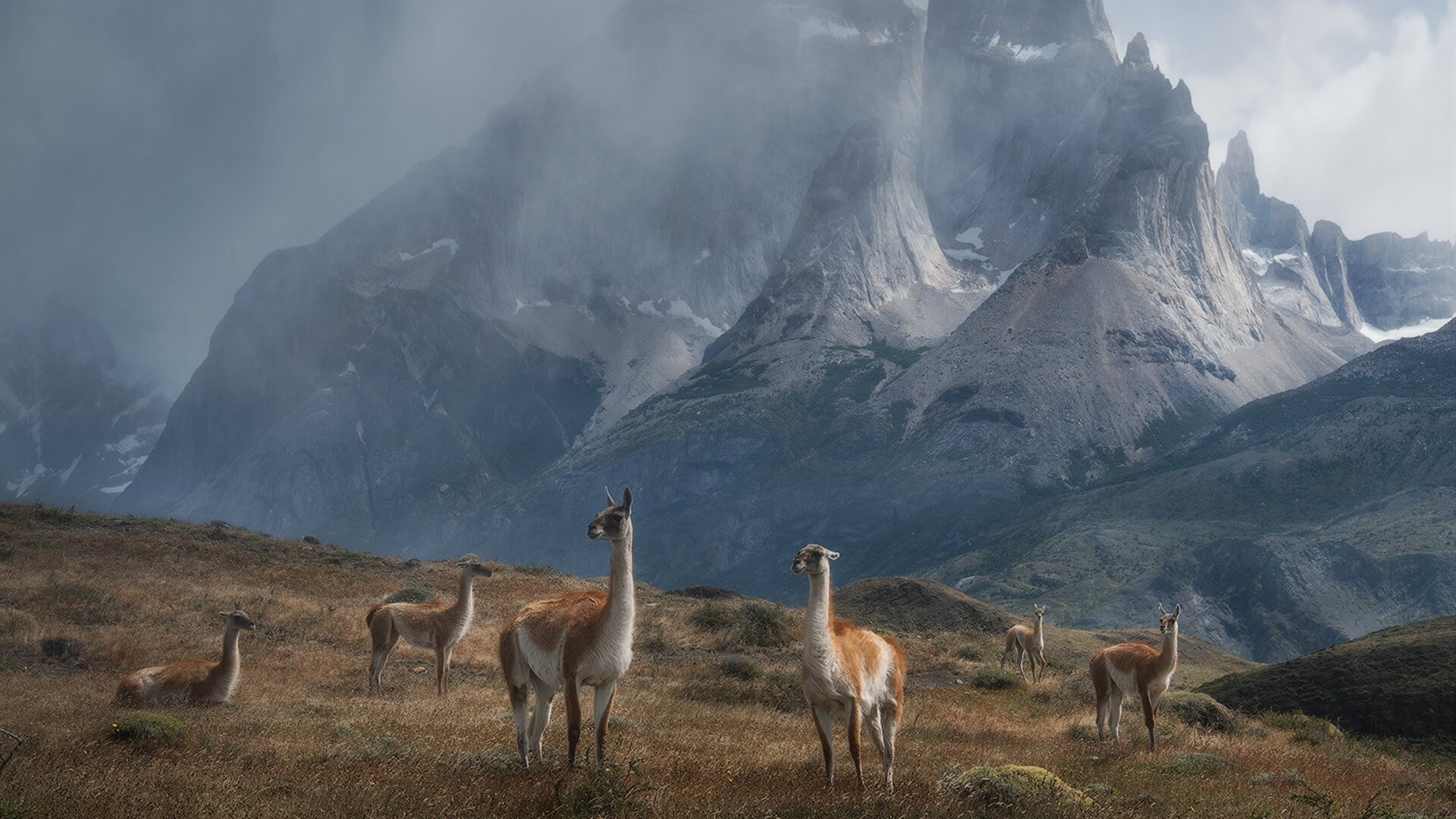 登峰造极的一夜，当冰冷数据遇上滚烫的英雄主义