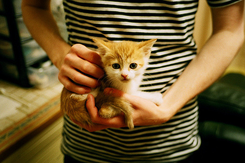 中投、汗水与计时器的回响，德罗巴式暮年，点燃2026世界杯致命之夜