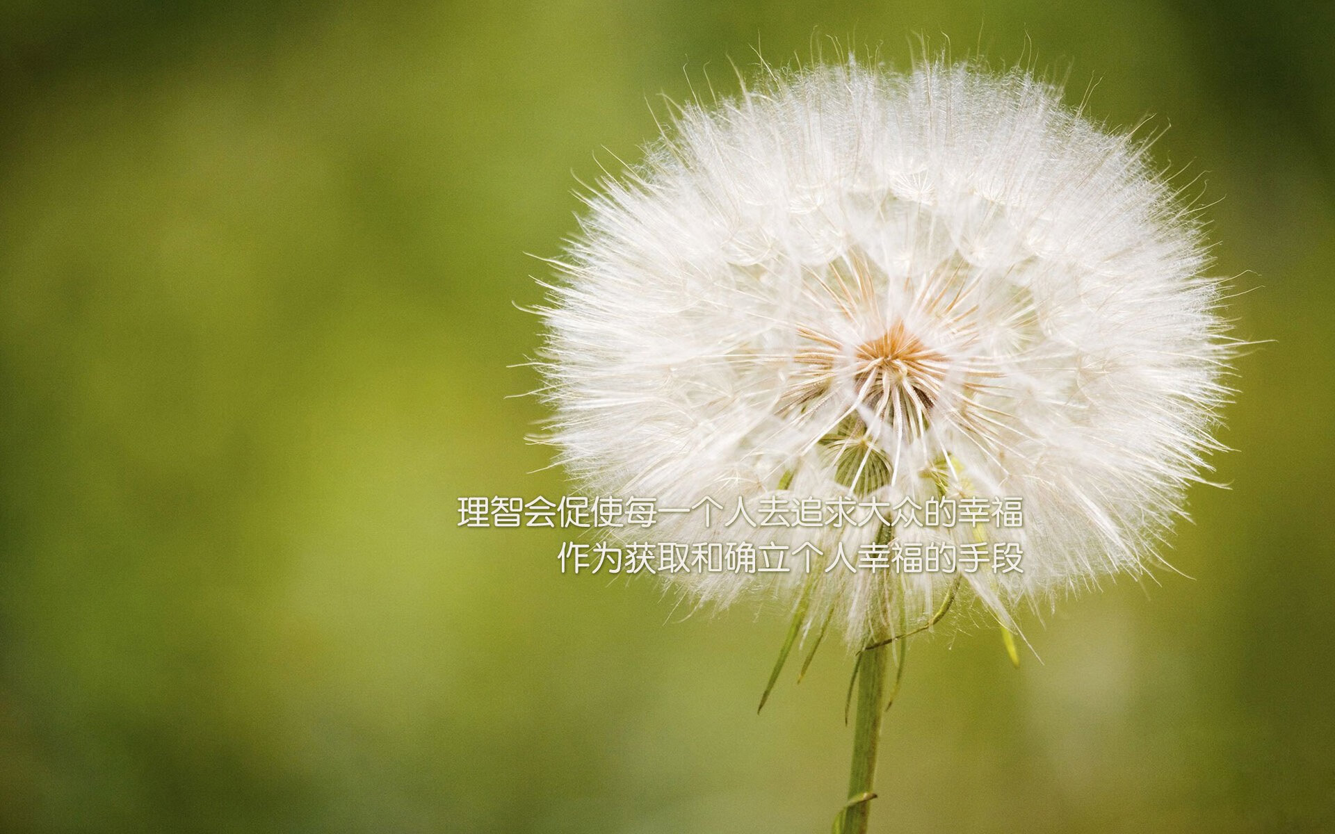 双核驱动,浙江战术铁幕锁雄鹿,浓眉禁区风暴无人可解