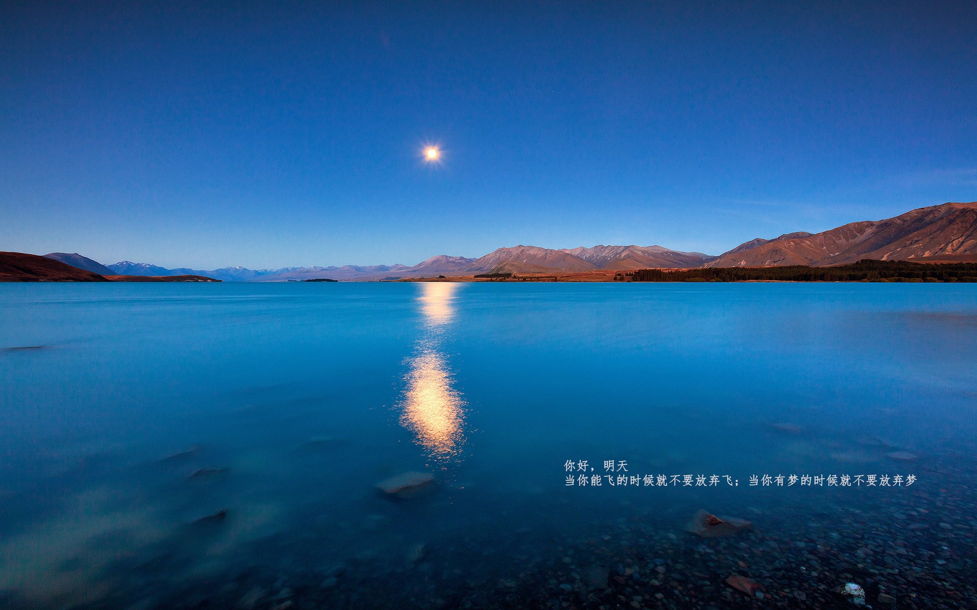 时空裂缝中的金球绝杀，当C罗在抢七决战中接管绿茵场