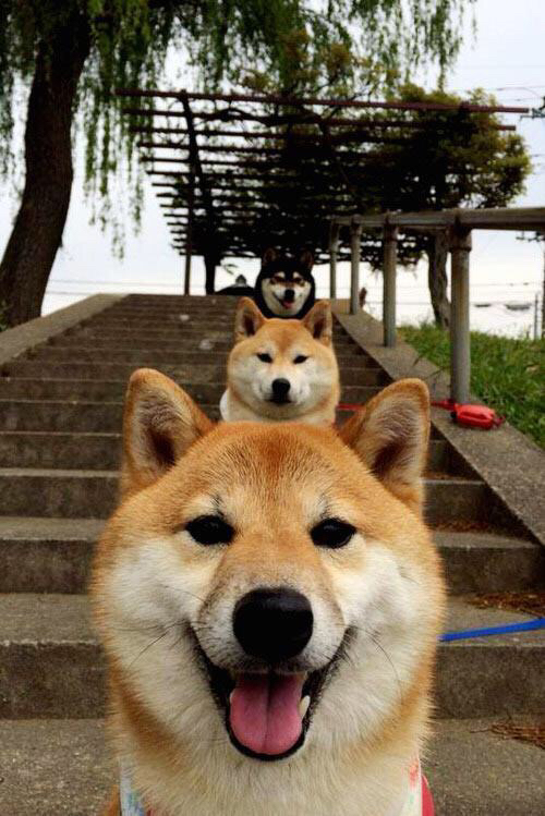 独行侠之困，锡安跨界化身关键先生，助快船逆转晋级