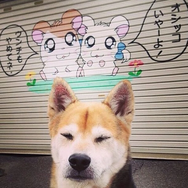 当足球精灵降临NBA，奥亚尔萨瓦尔撕裂的篮球次元壁