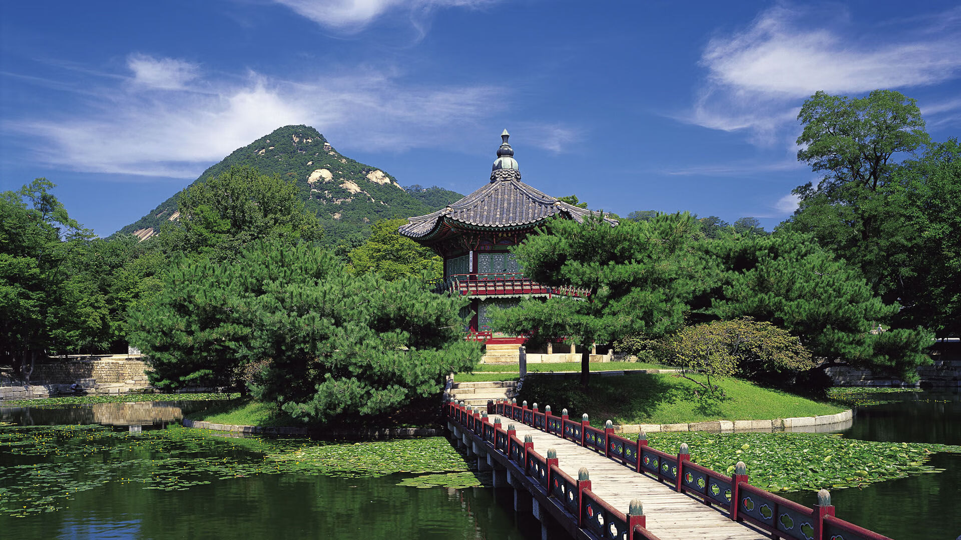 沙漠之狐的逆袭,2026世界杯那场改写足球美学的强强对话,费利克斯让桑巴军团黯然神伤